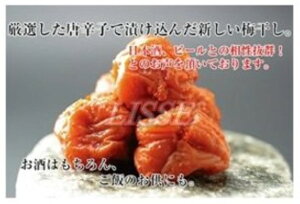 󂠂(ׂ)hq~q 400ghq×~I ̍ h~ R_ Yn K㗝X