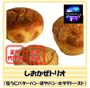 gIiɃo^[p2 قp2 z^eg[Xg2jM~N 킹q Yn K㗝X