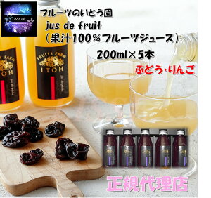 t[ĉƂ jus de fruit Iׂʏ`ԂǂE100t[cW[X MtgBOX 200ml×5{Zbg sY  Mtg Yn K㗝X