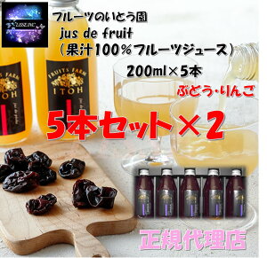 t[ĉƂ jus de fruit Iׂʏ`ԂǂE100t[cW[X MtgBOX 200ml×5{Zbg×2 sY Mtg Yn K㗝X