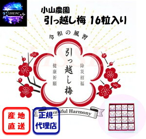 z~ 16 חľNƂ~̂tāAIB썂~̑嗱~ɂĂ͂ R_ Yn K㗝X