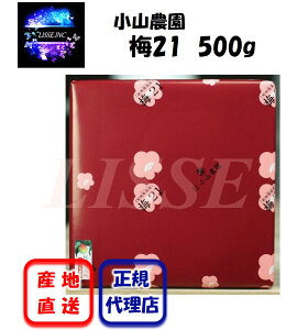 ~21 500g fU[go̊Â~  썂~ p  hV̓ ~ Ε Â~ R_ Yn K㗝X