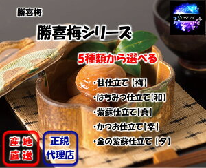 ~V[Y 5ނIׂ 360g`380g 嗱  Ε Mtg p ƒp 蕨 ~ Yn K㗝X