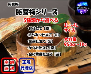 ����~�V���[�Y 5��ނ���I�ׂ� 950g�`1000g ��e�� �嗱 ������ ���Ε� �M�t�g ���蕨 ����~ �Y�n���� ���K�㗝�X