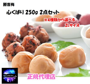 S΂ 220`250g Iׂ2_Zbg 4ނIׂ  Ε Mtg 蕨 ~ Yn K㗝X