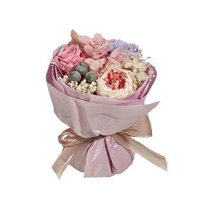 y撅zN[|zVEhEt[ vU[uht[ AW {t NAP[X fUC ~ju[P Mtg CeA v[g ԑ