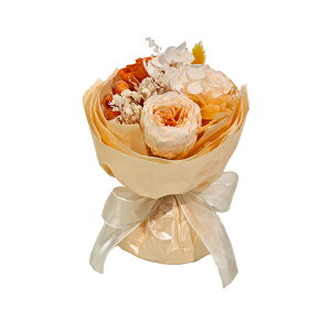 y11/27܂ōőP10{zVEhEt[ vU[uht[ AW {t NAP[X fUC ~ju[P Mtg CeA v[g ԑ