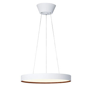 y11/27܂ōőP10{zyr[Tzy_gCg O[5500 LEDy_gCg  ݂艺 10  VƖ F  LEDC_XgA rO _CjO 