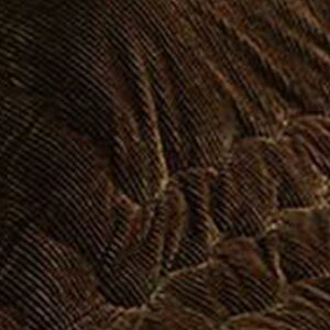 y撅zN[|z|zc zc 205×285cm ` 􂦂 @ ې R[fC tl R hL RpNg R^czc ۉ ߓd ȃGl  n k 