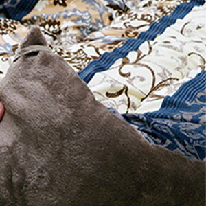 y11/27܂ōőP10{z|zc  205×205cm  zc l킢 GKg  [t A {^jJ ȓ { Y tln ۉ k 