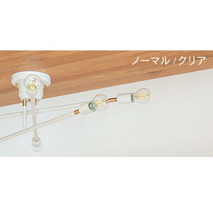 yN[|zzzRt LEDdZbg V[OCg 6 LbN CYMRIC  ^J Ɩ Cg X}[gR LEDΉ Ɩ VƖ C_XgA k 