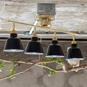 y撅zN[|zV[OCg dʔ Rʔ X|bgCg 4 Rbg LED Ή  Ɩ VƖ k Vv _ C a a ubN zCg