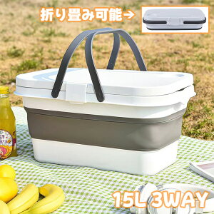 yX[p[SALEz܂肽ݎ oXPbg e[ut ȈՃe[u ܂ sNjbNoXPbg Lv [oXPbg Wt Lvpi AEghA W[ o[xL[ R