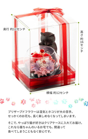 楽天市場 やっぱり猫が好き なんだなぁ プリザーブドフラワー ギフト 花 誕生日 プレゼント 母 祖母 おばあちゃん 女性 猫好き 雑貨 還暦祝い 古希 喜寿 米寿 卒寿 お祝い お誕生日 お花 ねこ ネコ 退職祝い プリザーブド バラ ブリザードフラワー 贈り物 土日出荷