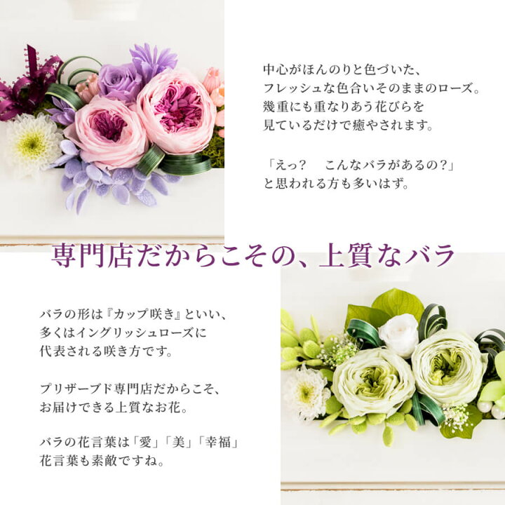 楽天市場 10 18 Offクーポン配布中 プリザーブドフラワー 壁掛け 貴婦人 ケース入り 送料無料 枯れないバラ 花 おしゃれ アレンジメント 古希 喜寿 傘寿 お祝い 古希祝い 喜寿祝い 傘寿祝い 紫 誕生日 プレゼント 女性 母 祖母 お誕生日 お花 70歳 77歳 70代 80代
