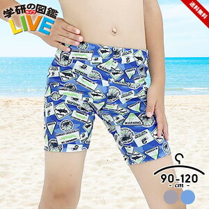 T[tpc XCpc LbY xr[  j̎q 90 100 110 120 V[g {[hV[c  Cpc Cp Cς qp V[gpc w̐}LIVE u[ lCr[ 