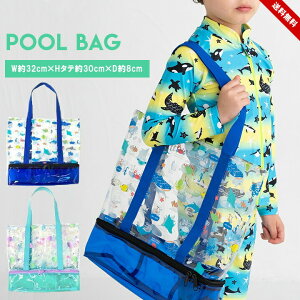 v[obO LbY j̎q ̎q g[gobO r[`obO 2w\ u[ O[  v[ j C V ۈ牀 ct wZ j j΂ obO  킢 