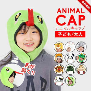 x 2025 wr ObY LbY Y fB[X Aj}Lbv ւ Xq N Ԃ 2025N  Lbv  Ȃ肫 蕨 q l ȒP t[TCY   N