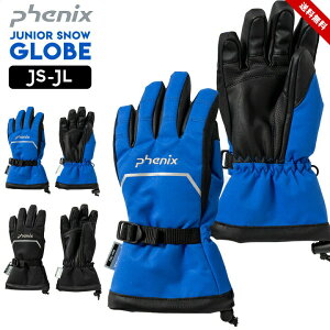 Xm[O[u LbY WjA j̎q JS JM JL  u[ ubN Phenix h z h~[WR[h l[x  XL[ Xm[{[h wZ wZ XL[ O[u tF