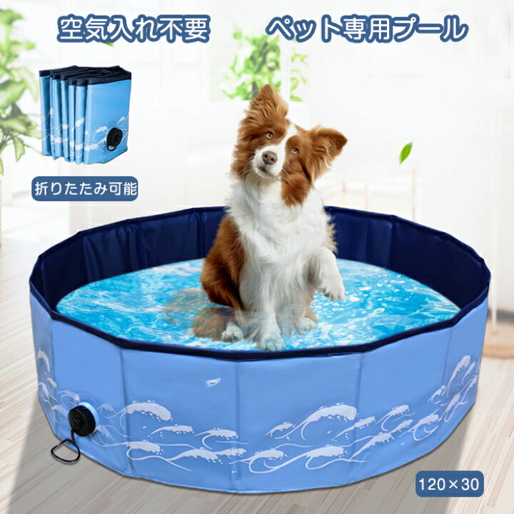 楽天市場】短納期 プール ペット ビニールパープ キッズプール 空気 