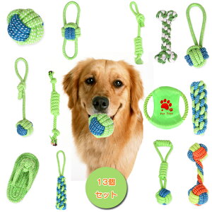   ybg [v 13_Zbg ނ [v [vጢpߋ ybgp ̂    ϋv ϊ \ ^ XgX ^s