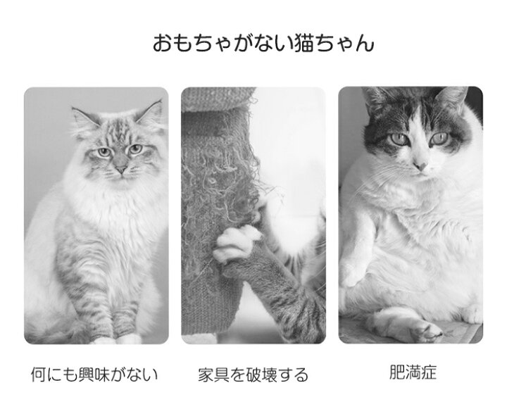 メール便無料 猫じゃらし 11点セット 猫用おもちゃ ねこじゃらし 猫 ねこ ネコ おもちゃ 釣り竿 猫用品 ペットグッズ 羽根 鈴 伸びる しなやか 運動不足解消 ペット用品 Discoversvg Com