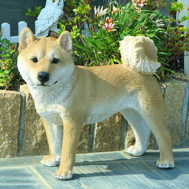 【お買い物マラソン・送料無料・ポイント10倍】置物 犬 柴犬 玄関用 本物そっくり 実物大 リアル ドッグ オブジェ おもちゃ 父母プレゼント リュウカガーデニング