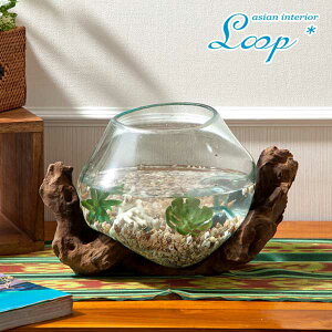 yő1~N[|ցzeE ANAE IuWF i`EbhKXANAEy50393z AWAG Ԋ ԕr  v^[u Mы _J ߂ GAv