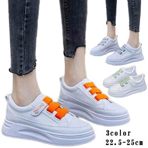 Xj[J[ fB[X @22.5cm`25cm zCg  C V[Y xgXj[J[ JWA ʊw ʋ d WjA ̎q 傫TCY