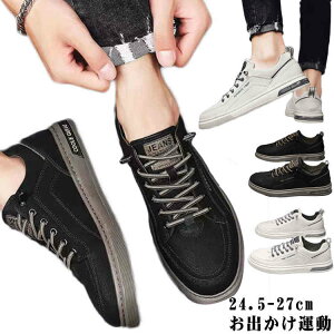 Xj[J[ Y C   zCg ubN Vv y y ʋ ʊw wZ d@V[Y C Vv JWA X|[eB AEghA W[  o ^ [J