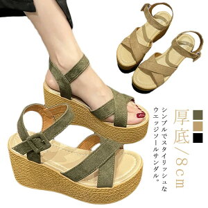 T_ fB[X q[  EFbW\[ Xgbv  ubN  傫TCY 8cm Vv ₷ ʋΒʊw s pvX