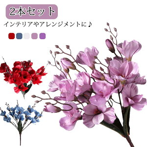  ϗtA 20։ OWIX ԕ VNt[ GR hV̓ sv VNt[  AI  Mtg tFCNO[ ̓ ̓  j v[