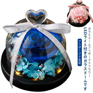 vU[uh vU[uht[ a  Mtg ސEj zCgf[ Ԃ v[g KXh[t j [Y o t[ LO җj 蕨 lC 