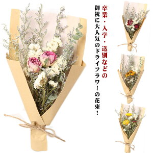 hCt[ u[P ܓ 킢 o  ̓ j v[g   ԑ lC a Ԃ EGfBO  q} hCt[ 蕨  uC_ s