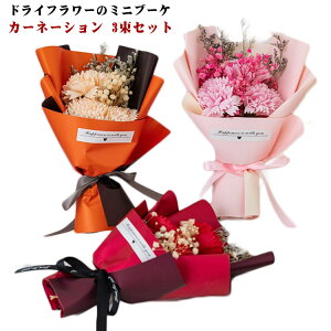  u[P  j 킢 ԑ \ ~j J[l[V Ԃ ̓  3Zbg lC a 蕨  hCt[ uC_  ސE  JX zj