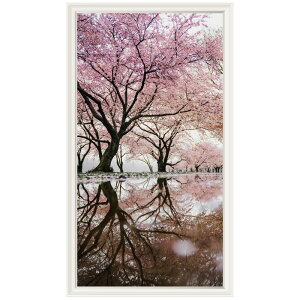    t[ EH[XebJ[ { ǎ ؁X   X sN A  ʐ^ |X^[ V[ A[g