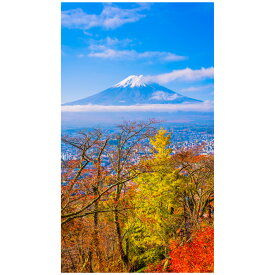 楽天市場 富士山 紅葉の通販 楽天市場 富士山 紅葉の通販