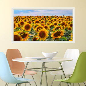 Ђ܂蔨  EH[XebJ[ { ǎ  t[  |X^[ V[