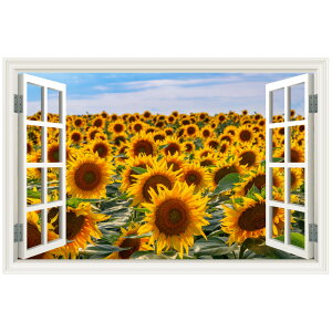 Ђ܂蔨 EH[XebJ[ g { MU3 ǎ  V[  t[  |X^[