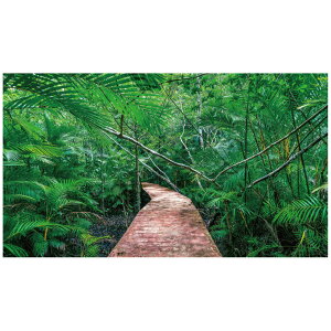 EH[XebJ[ WO  { X  A O[ ǎ |X^[ V[ C  DIY tH[ CX^ f