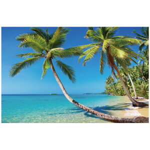 EH[XebJ[ 썑 q r[` C { ǎ C l y  |X^[ V[ G C  DIY tH[ CN