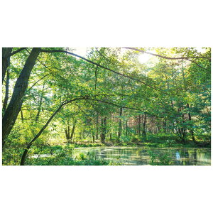 EH[XebJ[ X {   A R ǎ |X^[ V[ G C  DIY tH[ CN