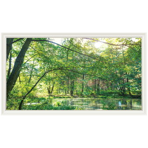 EH[XebJ[ X {   A R ǎ |X^[ V[ G C  DIY tH[ CN