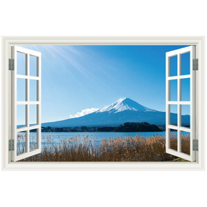 EH[XebJ[ xmR g { H    fuji R ǎ V[ |X^[ G C  DIY tH[ CN