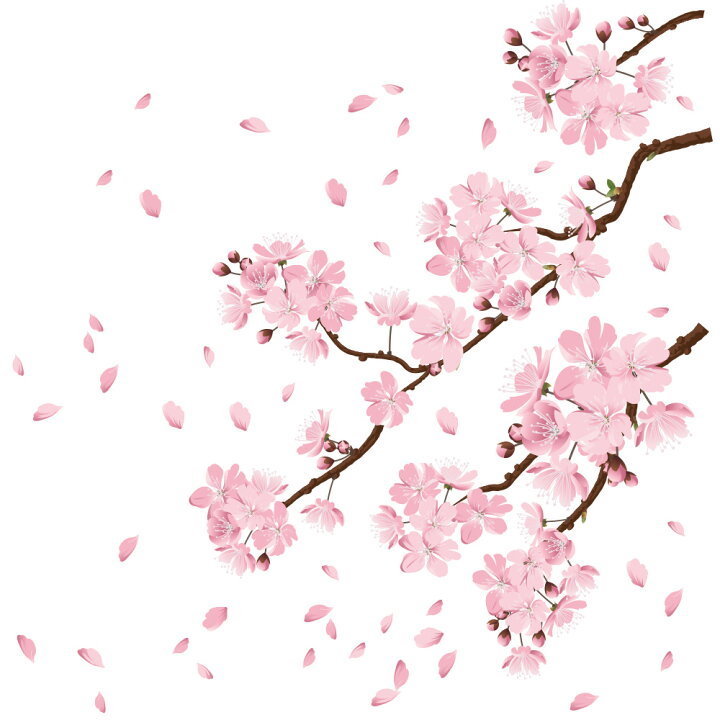 楽天市場 サクラ 桜 ウォールステッカー 日本製 桜吹雪 春 花びら さくら かわいい 母の日 フラワー ピンク 壁紙 シール リメイク ウォールステッカー専門店ルッカ 楽天市場 サクラ 桜 ウォールステッカー 日本製 桜吹雪 春 花びら さくら かわいい 母の日 フラワー ピンク 壁紙 シール リメイク ウォールステッカー専門店ルッカ