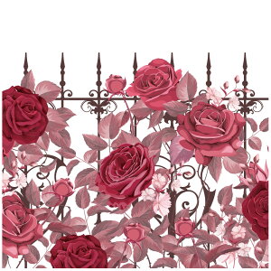 EH[XebJ[ o KN tFX  ԏ t[ [Y sN  { A ǎ V[ DIY CN