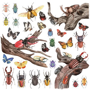 EH[XebJ[  JugV NK^ {   IIN wNX R[JTX mRM V[ ǎ q C gC