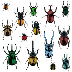 EH[XebJ[  JugV NK^ { IIN wNX R[JTX mRM jWC V[ ǎ q C gC