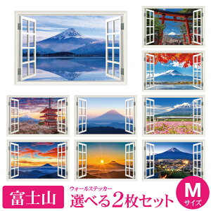 xmR 2IׂZbg MTCY g EH[XebJ[ { fuji X R  gt i ǎ V[ |X^[ G  C DIY tH[ rO  CX^ f