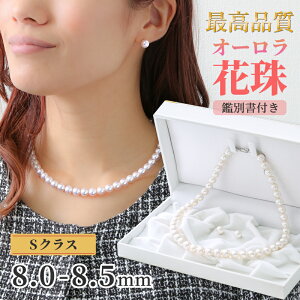 y撅10l7%OFFN[|zzIzyc킸Iz Ԏ^ p[ lbNX 2_Zbg 8.0-8.5mm Ԏӕʏt I[Ԏ p[lbNX p[sAX CO ^